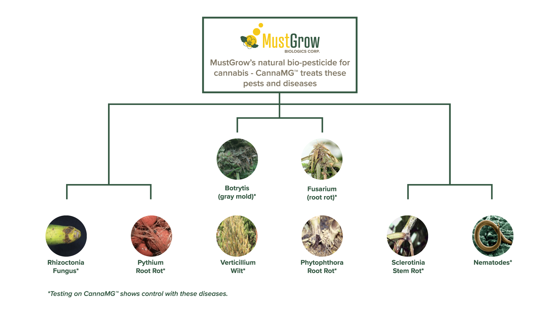 A treatment map for MustGrow products, showcasing some obstacles to crop growth that MustGrow products can help to combat.