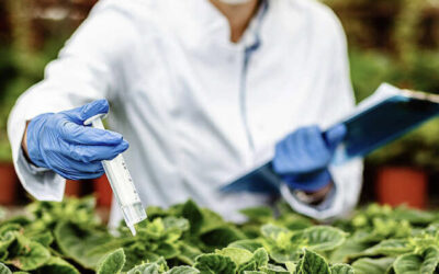 The Successful Commercial Scale Production of MustGrow’s Biotechnology